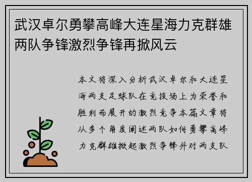 武汉卓尔勇攀高峰大连星海力克群雄两队争锋激烈争锋再掀风云